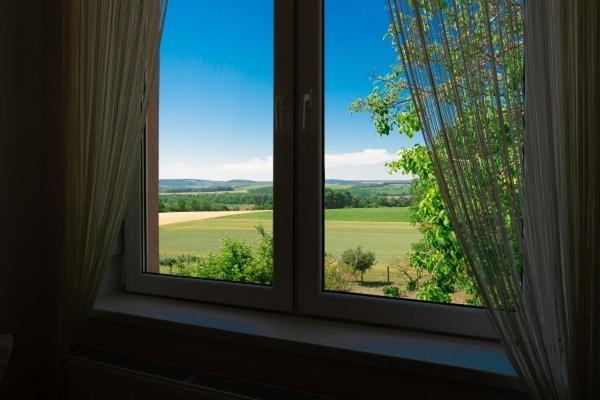 Hortenzia Vendeghaz Mor Apartment Bagian luar foto